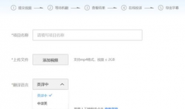 视频翻译字幕软件,智能翻译软件的革新之旅